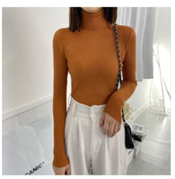 Women Turtleneck Sweaters Autumn Winter Korean Slim Pullover Women Basic Tops Casual Soft Knit Sweater Soft Warm Jumper