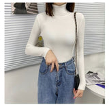 Women Turtleneck Sweaters Autumn Winter Korean Slim Pullover Women Basic Tops Casual Soft Knit Sweater Soft Warm Jumper