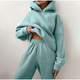 Women Solid Fleece Tracksuit And Hooded Jogger Pants Two Piece Set 2021 Autumn Winter Female Oversized Casual Sportswear Suit